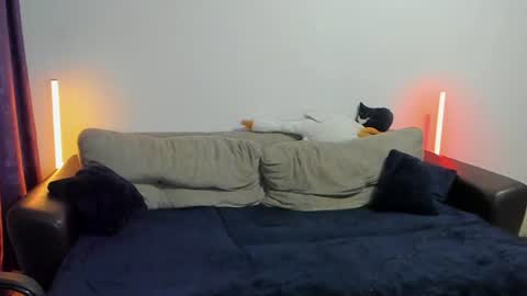 Ostin online show from 08.02.26