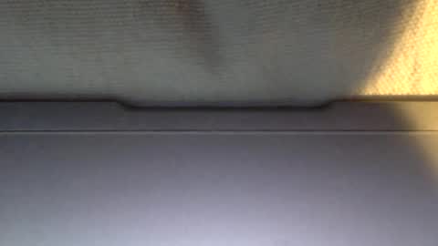 Otto online show from 01.21.25