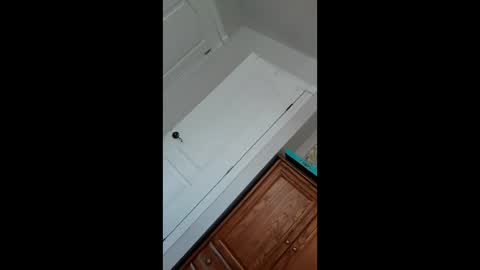 Pablo   Nina online show from 01.22.25