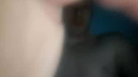 Snapshot of pablowablo chatting on 02.14.26 pablowablo online show from 02.14.26