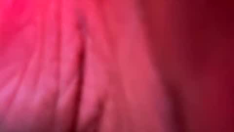 Snapshot of paigethekinkyone chatting on 11.27.25 PrincessTsVivian online show from 11.27.25