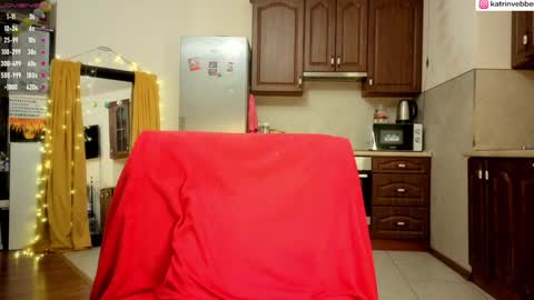 Snapshot of palach2323 chatting on 01.29.25 Katrin Vebber online show from 01.29.25