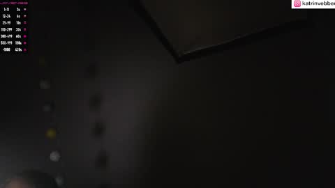 Snapshot of palach2323 chatting on 09.11.25 Katrin Vebber online show from 09.11.25