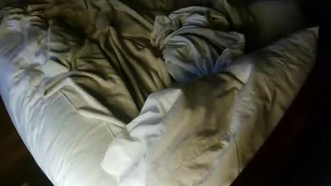 Snapshot of pale001zan chatting on 09.29.25 pale001zan online show from 09.29.25