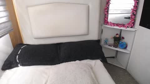 Snapshot of palmer_mix chatting on 01.07.25 Palmer online show from 01.07.25