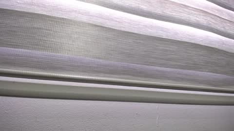 Snapshot of palmer_mix chatting on 01.13.25 Palmer online show from 01.13.25