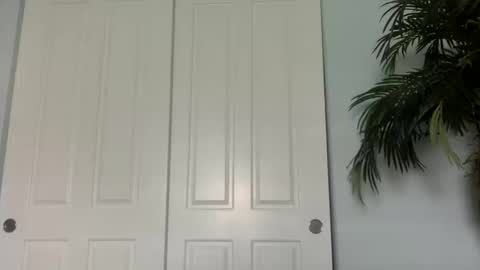 palmflacco online show from 10.11.25