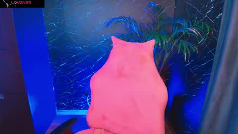 Snapshot of palo_santo06 chatting on 02.05.26 Palo Santo online show from 02.05.26