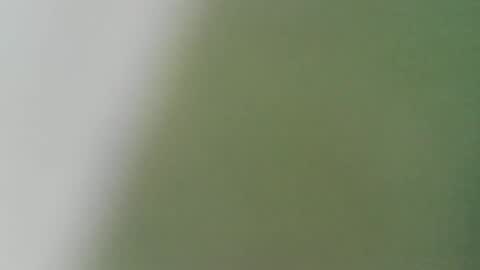 Snapshot of pandemonium696 chatting on 02.02.26 pandemonium696 online show from 02.02.26
