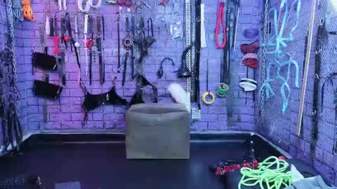 PandoraNez online show from 02.14.25