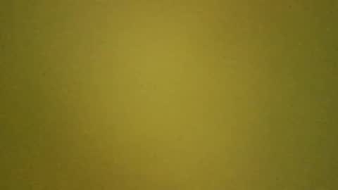 LaRocca online show from 03.14.26