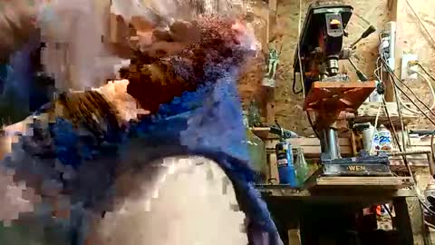 papajb70 online show from 09.10.25