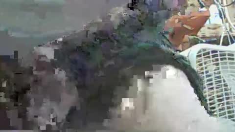 papajb70 online show from 09.29.25