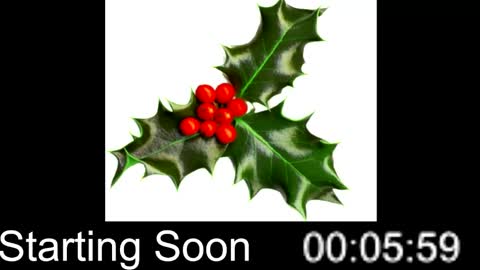 Snapshot of passion4fashion chatting on 12.25.24 Passion4Fashion online show from 12.25.24