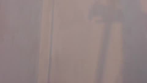 patrik online show from 07.11.26