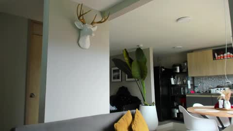 Paul online show from 04.10.26