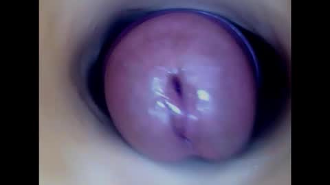 Paula 18 Aninhos online show from 02.05.26