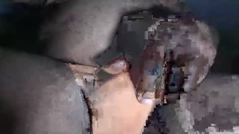 Snapshot of paulcockring chatting on 11.23.25 paulcockring online show from 11.23.25