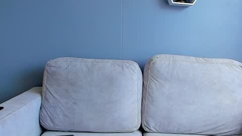 Paul Phoenix online show from 01.02.25