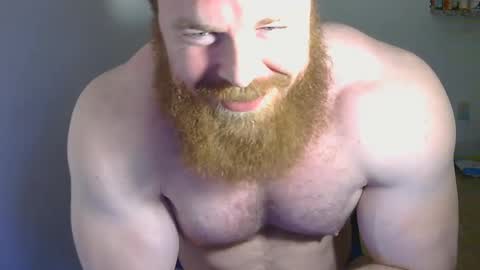 Pec inspector online show from 01.26.25