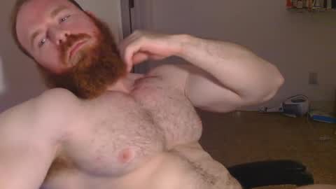 Pec inspector online show from 01.30.25