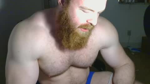 Pec inspector online show from 02.14.25