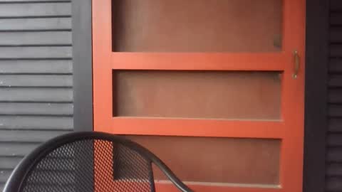 Snapshot of pecos8686 chatting on 11.29.25 pecos8686 online show from 11.29.25