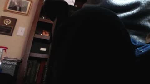 pem1650 online show from 01.12.25