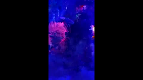 penrodscott7 online show from 03.18.26