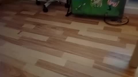 pepe_hard online show from 03.02.26