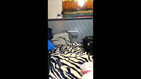 perfectcockandsexyfeet online show from 06.07.26