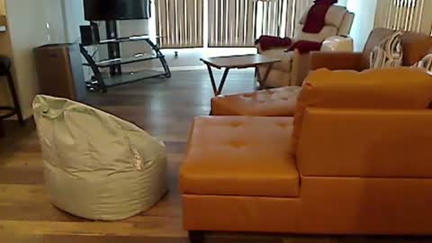 Snapshot of perfecto1957 chatting on 12.07.24 perfecto1957 online show from 12.07.24