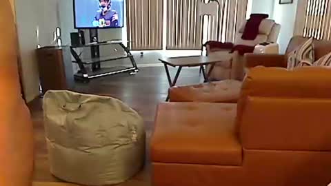 Snapshot of perfecto1957 chatting on 12.22.24 perfecto1957 online show from 12.22.24