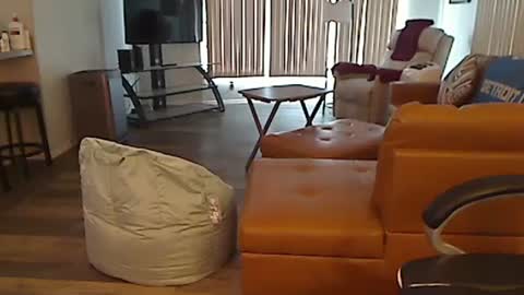 Snapshot of perfecto1957 chatting on 02.13.25 perfecto1957 online show from 02.13.25