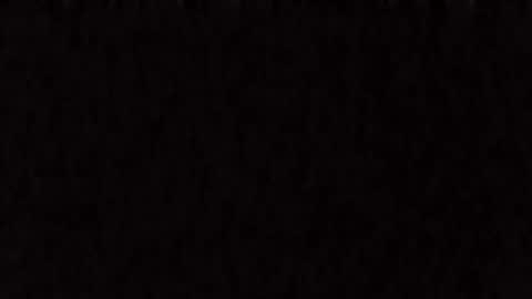 petitedolly254 online show from 03.12.26