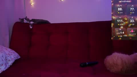 Snapshot of petitemuse chatting on 12.03.25 diana fansly petitemuse online show from 12.03.25