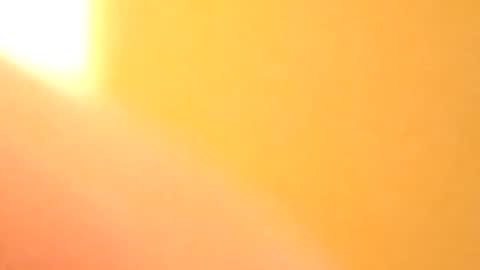 petw45 online show from 02.25.26