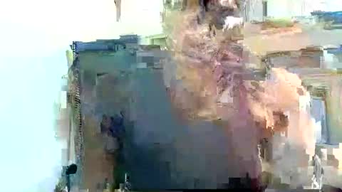 Pfani online show from 04.19.26