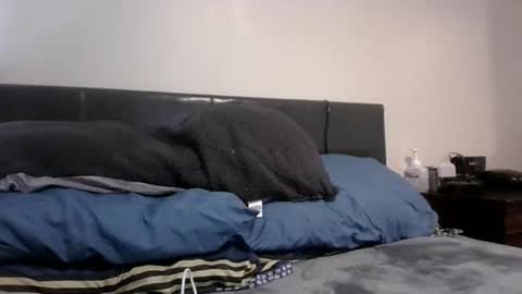 phantomfreakbbc online show from 02.10.26