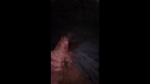 philllllll508346 online show from 12.21.25