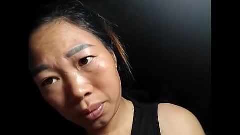 Snapshot of phuong_vietnam chatting on 03.20.26 phuong_vietnam online show from 03.20.26