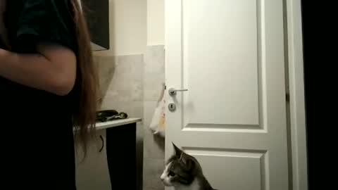 Snapshot of pieceofmoon chatting on 12.15.25 Moonie online show from 12.15.25