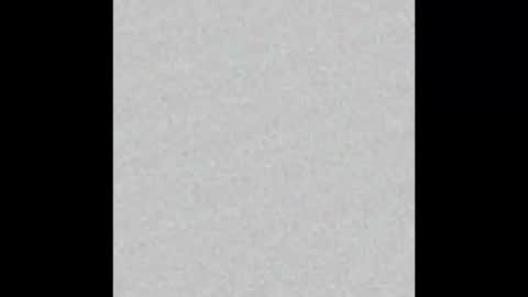 Privet online show from 03.21.26