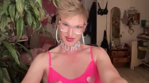 pinkfag online show from 06.02.26