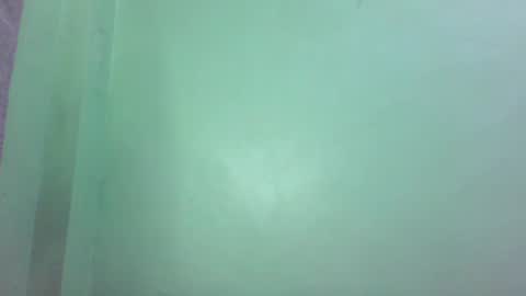 Snapshot of pinkish_shine chatting on 02.27.25 Hi  its me shine  online show from 02.27.25