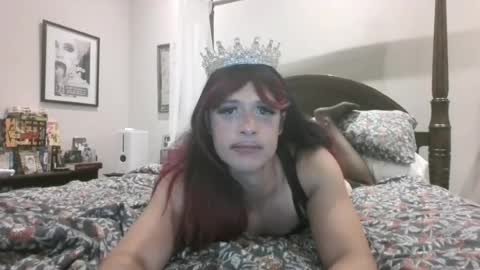 pinkpillbambi online show from 08.02.26