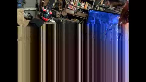 FuckUpayMe online show from 02.09.26