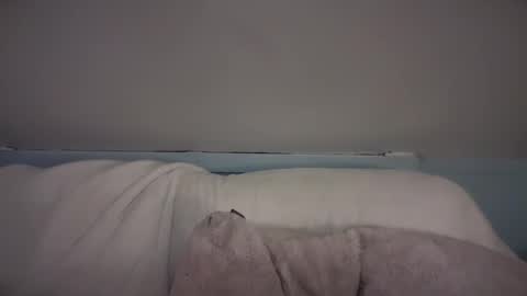 Snapshot of pirdybirdyxo chatting on 02.26.25 pirdybirdyxo online show from 02.26.25