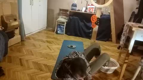 Dominik online show from 12.20.25