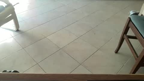 pisellone_xxl online show from 09.19.25